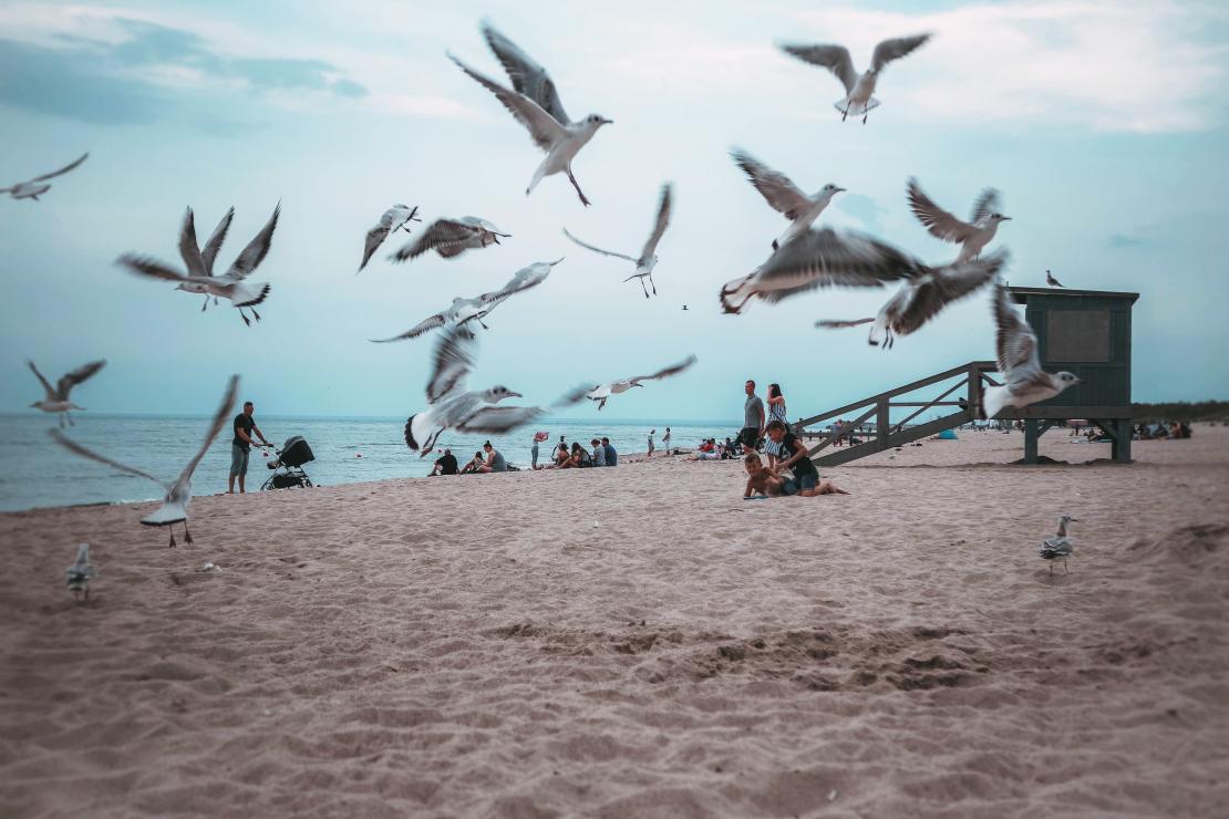 A POSTCARD FROM THE BALTIC SEA | WLADYSLAWOWO 2019